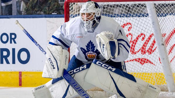 Kelly Cup Champ Ferguson Loaned To Wichita