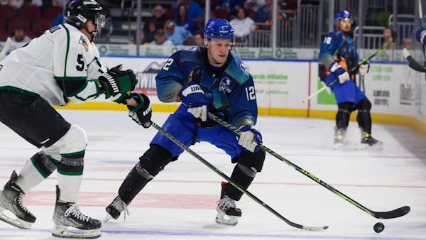 Wichita Hosts Grizzlies On Sunday Funday
